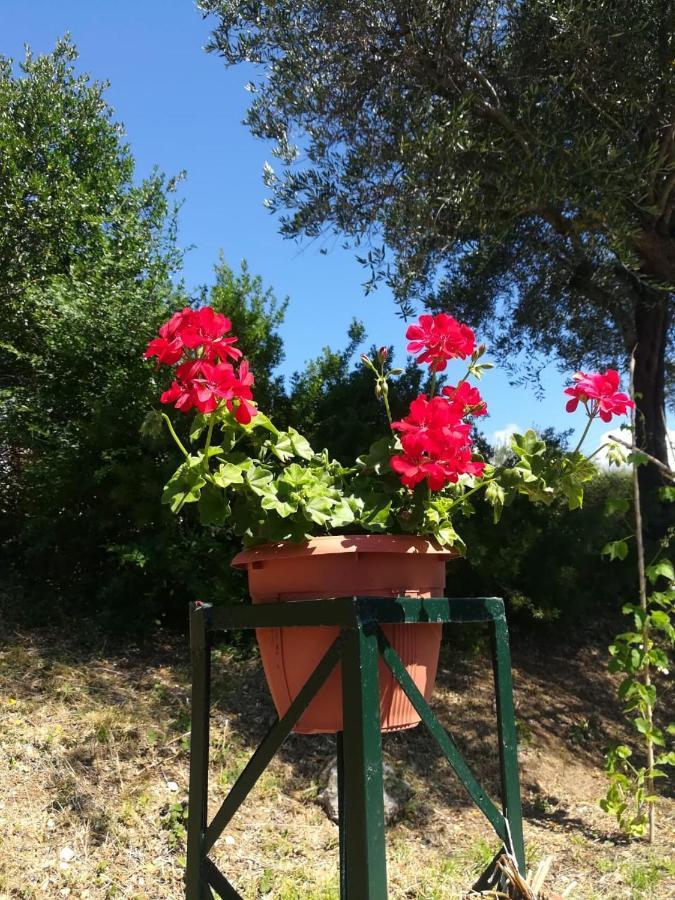 Blue & Green Apartments , Dassia - Corfu 1&2-3&4 Экстерьер фото